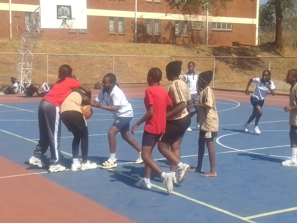 District teams impress at NAJS provincial ball games