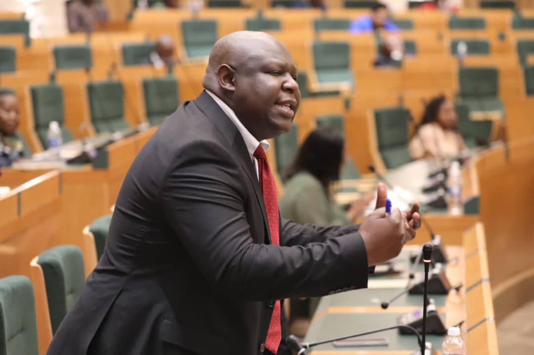 Madzivanyika pledges schools, water and road projects for Mbizo